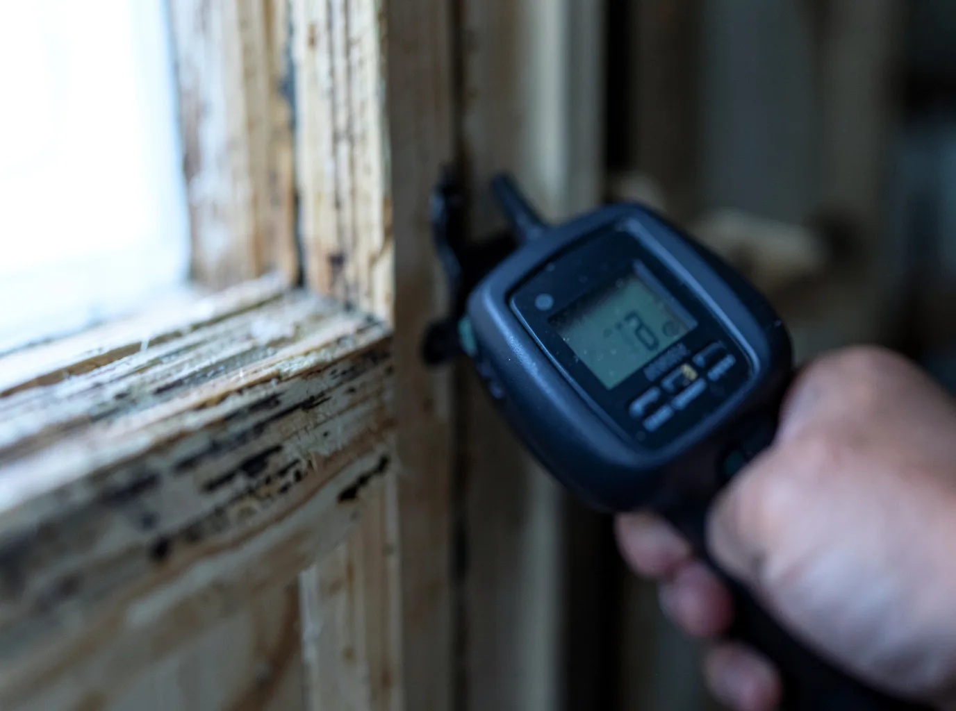 Moisture Inspection And Documentation in Medford, MN